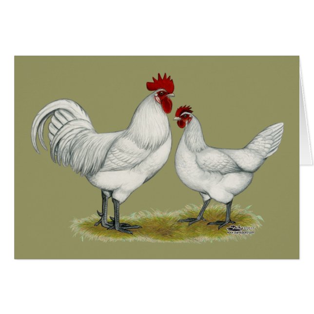 Blaufüßer (Vorderseite (Horizontal))