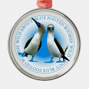 Blaufüßige Boobies der Galapagos-Inseln Ornament Aus Metall