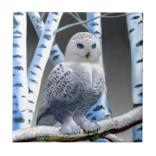 Blaugefleckter Schneekauz Fliese