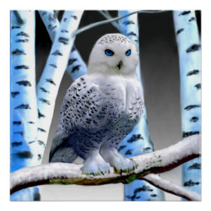 Blaugefrorener Schneeeule Poster