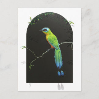 Blaugekronter Motmot Postkarte