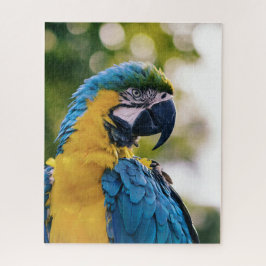 Blaugelbe Maca tropischer Papagei Puzzle
