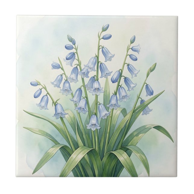Blauglocken-Blumen Aquarell-Botanik Fliese (Vorderseite)
