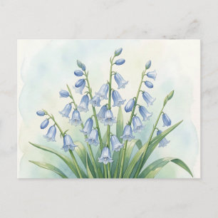 Blauglocken-Blumen Aquarell-Botanik Postkarte