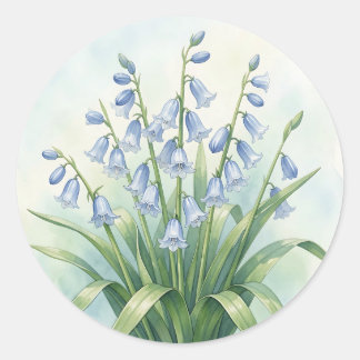 Blauglocken-Blumen Aquarell-Botanik Runder Aufkleber