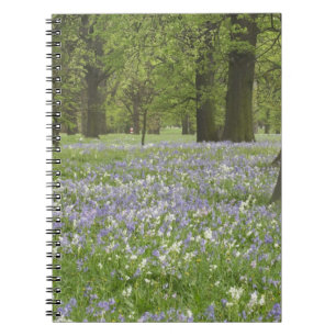 Blauglocken und Eichen im Frühling, Little Hagley Notizblock