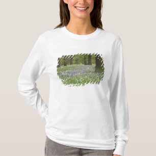 Blauglocken und Eichen im Frühling, Little Hagley T-Shirt