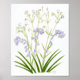 Blauglocken und Sternmiere Poster