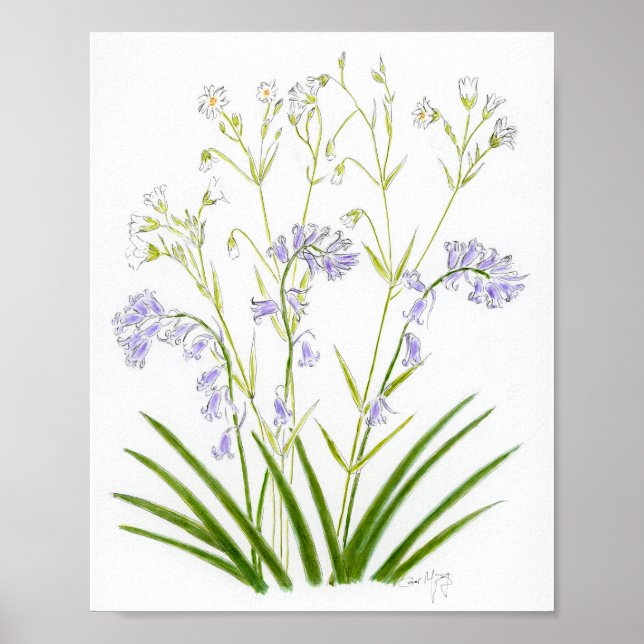Blauglocken und Sternmiere Poster (Vorne)