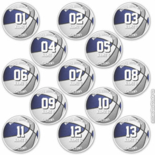 Blaugraue Mannschaftsfarben 13 Basketballspieler-N Aufkleber