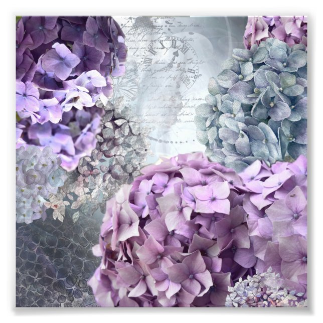Blaugraue Vintage Hydrangea-Blume Fotodruck (Vorne)