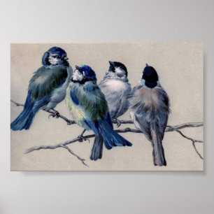 Blaugraue Vögel auf einem Ast von Hector Giacomell Poster