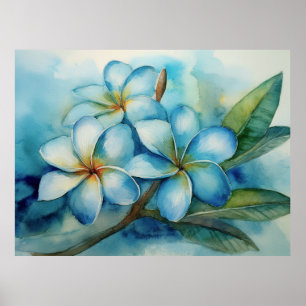 Blauhawaiianisches Plumeria Poster