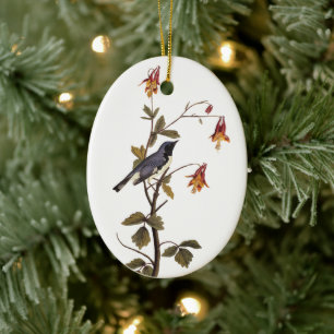 Blaukehl-Halsbandschmetterling Audubon-Vogel Keramikornament