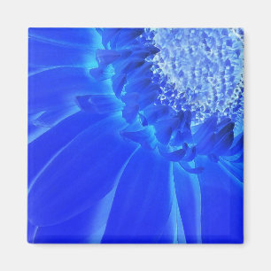 Blaukehlchen Magnet