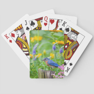 Blaukehlchen-Männchen auf Zaunpfosten im Blumengar Spielkarten