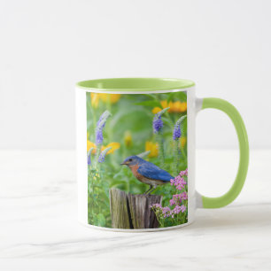 Blaukehlchen-Männchen auf Zaunpfosten im Blumengar Tasse