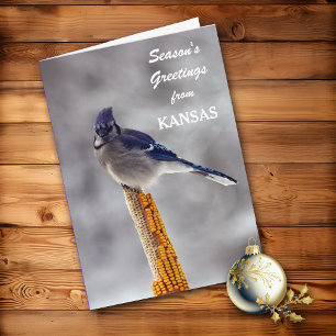 Blaukehlchen-Weihnachtsgrüße aus Kansas Feiertagskarte