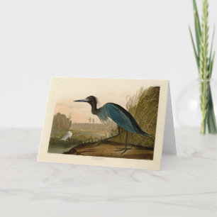 Blaukranich-Reiher-Audubon-Druck Küstenkunst Karte