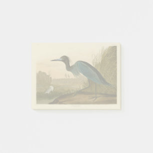 Blaukranich-Reiher-Audubon-Druck Küstenkunst Post-it Klebezettel