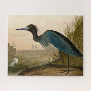 Blaukranich-Reiher Audubon-Druck Küstenkunst Puzzle