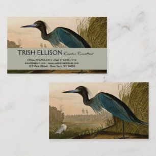 Blaukranich-Reiher-Audubon-Druck Küstenkunst Visitenkarte