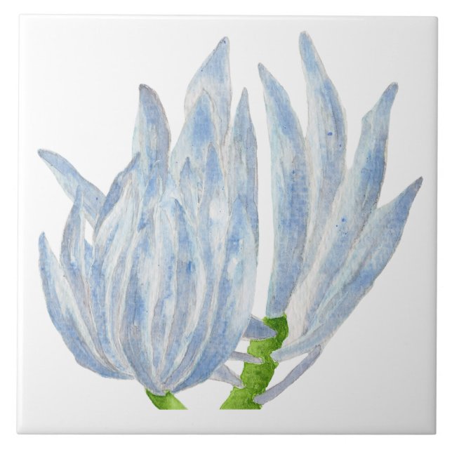 Blaukreide an einer Keramik Fliese (Vorderseite)