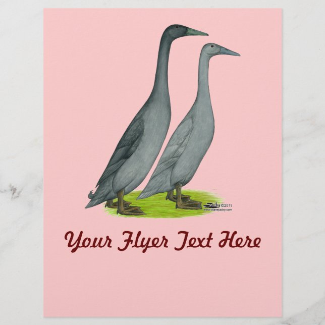 Blauläufer Enten Flyer (Vorne)