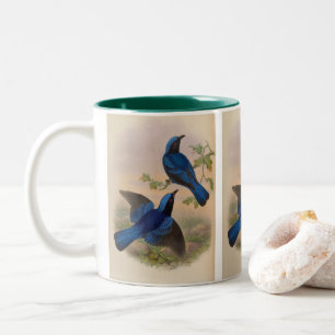 Blaumantel-Feenblauvogel von John Gould Zweifarbige Tasse