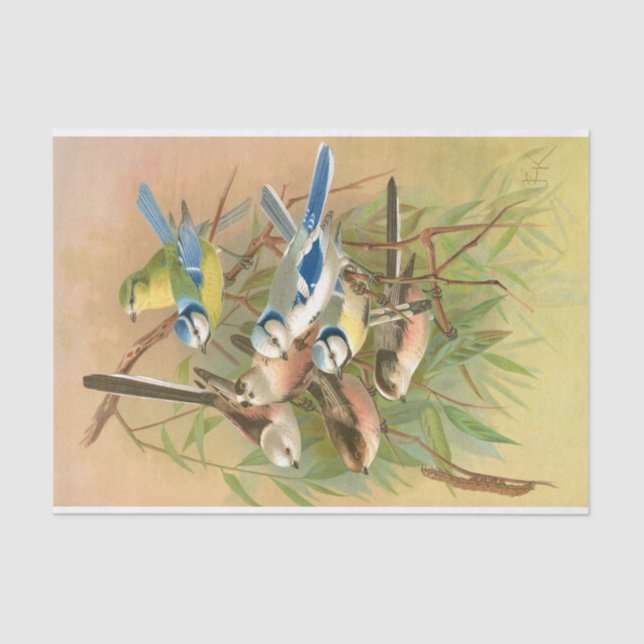 Blaumeise und Langschwanzmeise, Decoupage Seidenpapier (Vorderseite)