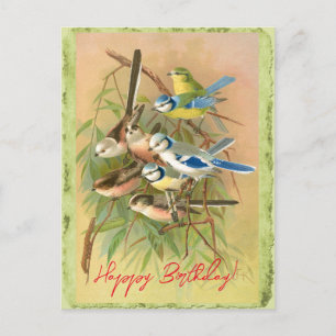 Blaumeise und Langschwanzmeise Postkarte