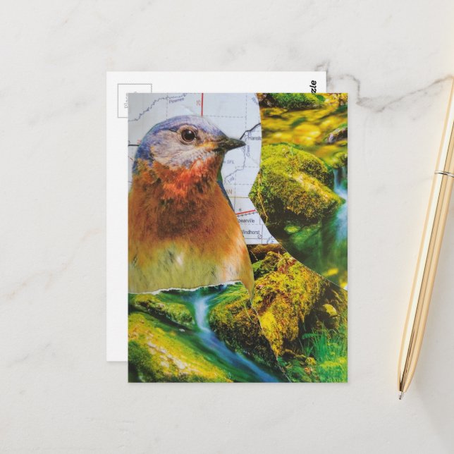 Blaumeisen-Wald-Karten-Collage Postkarte (Vorderseite/Rückseite Beispiel)