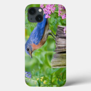 Blaumerle männlich auf Zaunpfosten im Blumengarten Case-Mate iPhone Hülle