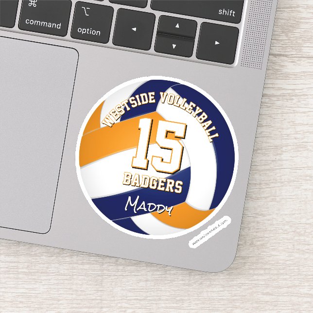 Blauorange Mannschaftsfarbe Volleyballspieler Aufkleber (Detail)