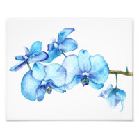 Blauorchid Botanic Print