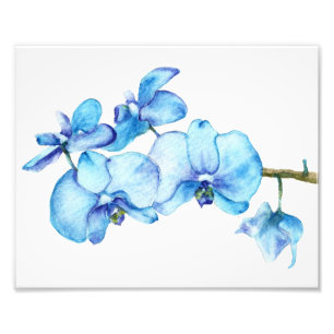 Blauorchid Botanic Print Fotodruck