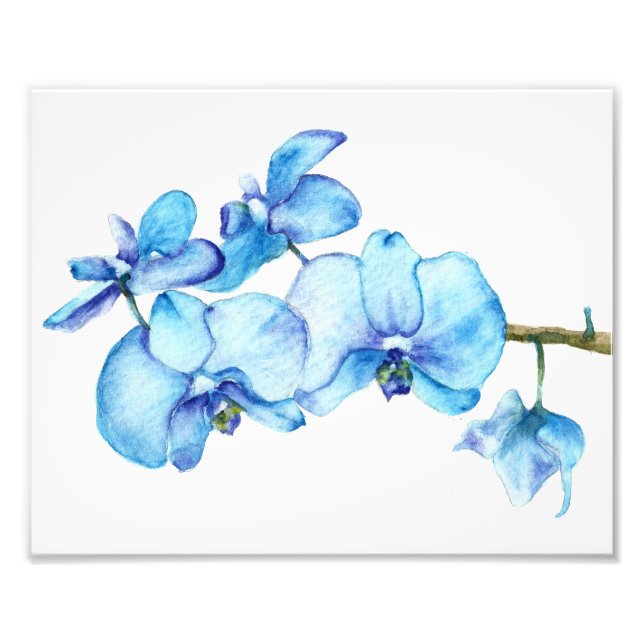 Blauorchid Botanic Print Fotodruck (Vorne)