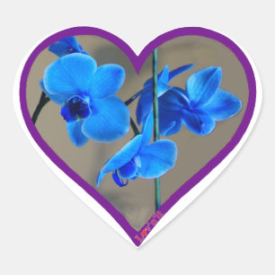 Blauorchid Herz-Aufkleber