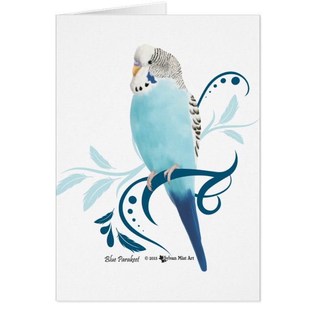 Blauparakeet (Vorne)