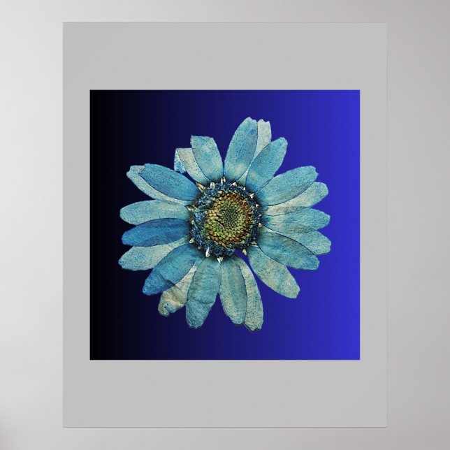 Blauposter Poster (Vorne)