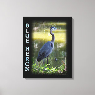 Blaureiher-Wandkunst-Fotografie Leinwanddruck
