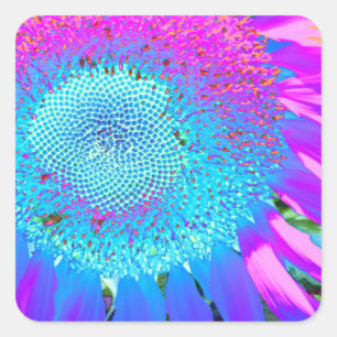 Blaurosa funky Retro-Sonnenblumen Foto Quadratischer Aufkleber