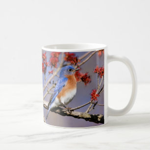 Blaurücken-Zaunkönig-Kaffeetasse III von BirdingCo Kaffeetasse