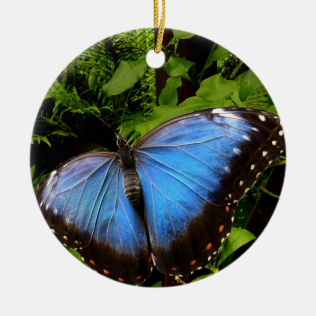 Blauschmetterling Keramik Ornament (Vorne)