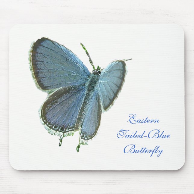 Blauschmetterling Mousepad (Vorne)