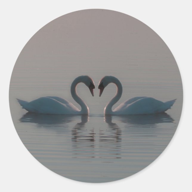 Blauschwäne müssen Liebe sein Runder Aufkleber (Vorderseite)