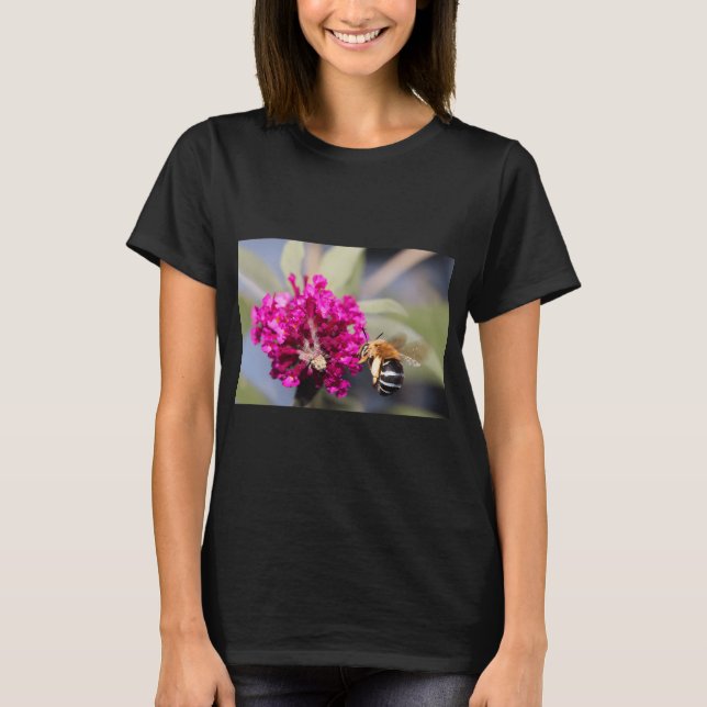 Blaustirn-Hummel T-Shirt (Vorderseite)