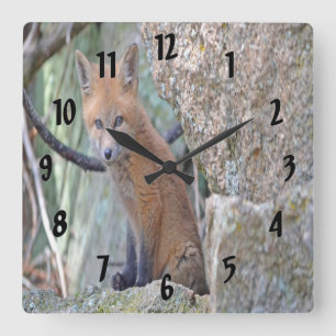 Blaüugiger Baby Fuchs Quadratische Wanduhr