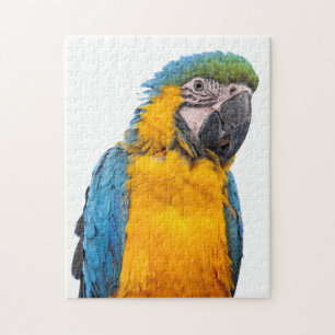Blauund GoldMacaw Puzzle