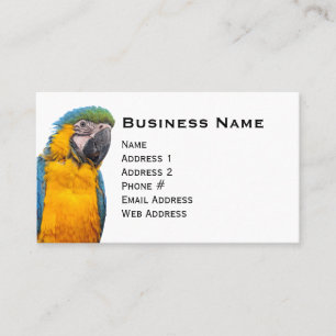 Blauund GoldMacaw Visitenkarte